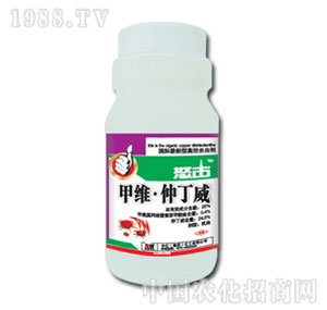 �л�����-ŭ��