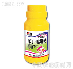 �л�����-��