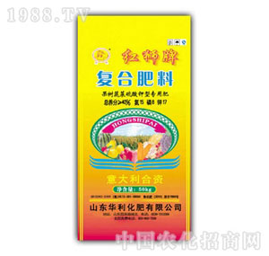 ��������-�����߲�������͌��÷�