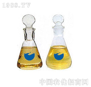 �n��-������ԭˎ