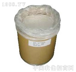 �n��-�ݸ��ԭˎ