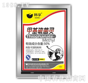 �n��-50%�׻�����`