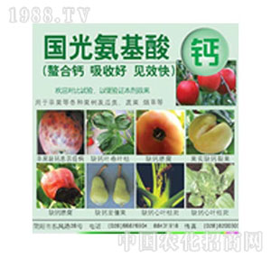 ����-�������}