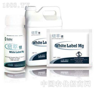 ������(l��)-�~���V