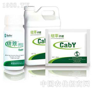 ������(l��)-�~���}��