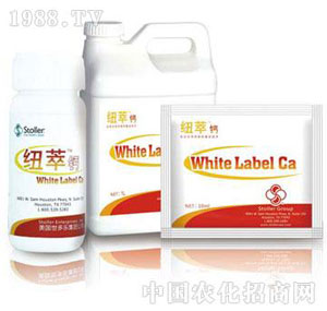 ������(l��)-�~���}