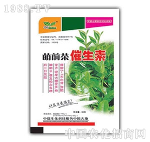 ��ԣ-�aǰ�������