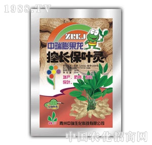 ��ԣ-���L���~�`