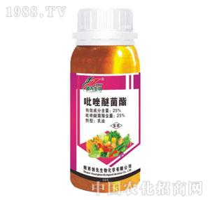 ��(chu��ng)������-�����Ѿ���