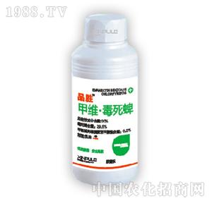 ���՘�-�׾S������