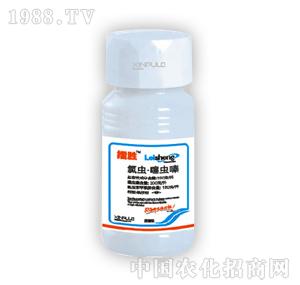 ���՘�-���x���x�