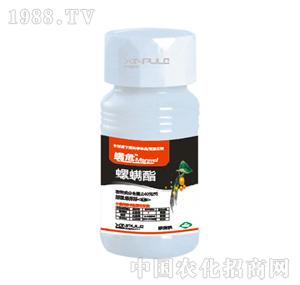 ���՘�-������