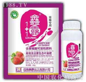 ��¶-��¶1+1��ݮ����