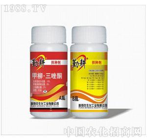 ���ʿ�-�ڸ���N��