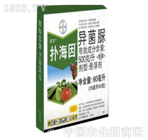 �V�|���-�亣�򣨄���-���ݶ�