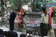 �𱬾W(w��ng)���^�S���ь�܊�ʾӣ��錢܊���I���@��